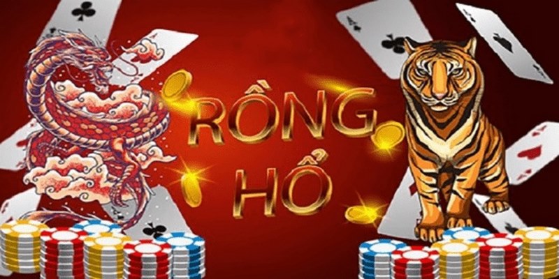 Sai lầm cần tránh khi tham gia đặt cược rồng hổ